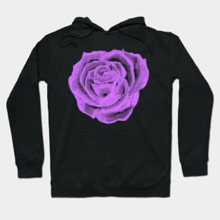 Purple Rose Hoodie